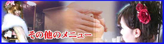 ̑̃j[